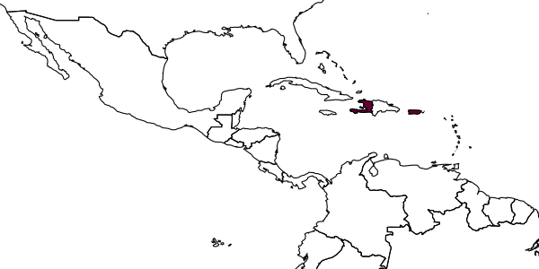 map of Eretmocerus pallidus     Dozier, 1932